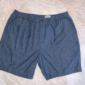 AG Adriano Goldschmied Denim Blue Flat Front Shorts